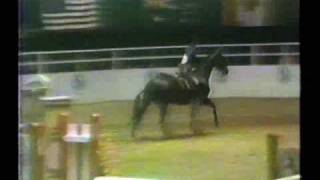 ASPCA Maclay Medal Finals  1985 1st round  Kristin Medall [upl. by Shirleen]