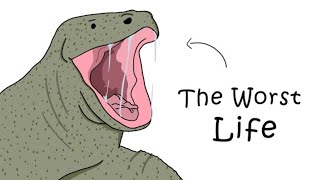 Why It Sucks to Be Born as a Komodo Dragon [upl. by Hako]