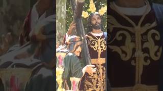 Sevilla Spain Easter Parade 2024  Semana Santa Processions Andalusia shorts [upl. by Daniels]