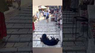 Sliding cobblestones in Mostar [upl. by Yanal]