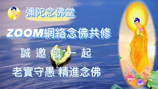 【彌陀念佛堂】歡迎一起来念佛共修感恩❤️南無阿彌陀佛🙏🙏🙏 [upl. by Enomys]