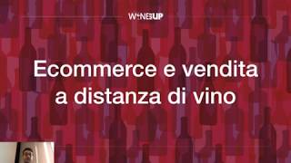 02 Ecommerce e vendita a distanza di vino [upl. by Zizaludba]