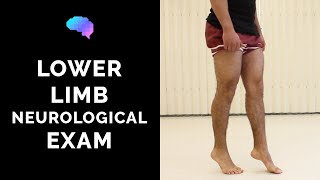 Lower Limb Neurological Examination  OSCE guide old version  UKMLA  CPSA [upl. by Curzon]