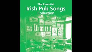 The Essential Irish Pub Songs Collection  22 Classic Irish Drinking Songs  irishdrinkingsongs [upl. by Ialocin663]