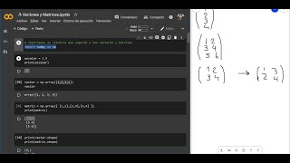 CÓMO USAR VECTORES Y MATRICES EN PYTHON [upl. by Annohsal]