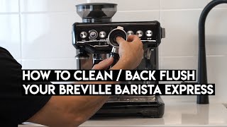 How To Clean Backflush Your Breville Barista Express [upl. by Melise]