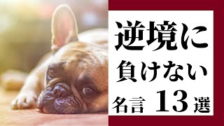 【名言集】逆境に負けない！くじけそうな時、自信を取り戻し前向きになれる１３の言葉【自尊心】 [upl. by Ames]