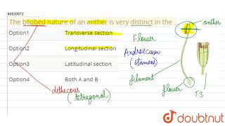 The bilobed nature of an anther is very distinct in the [upl. by Skippie802]