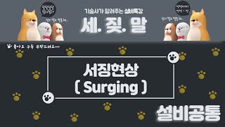 반송설비 서징현상Surging 맥동현상 [upl. by Dielle]