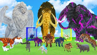 5 Giant Mammoth Elephant Cow vs 5 Giant Lion Tiger vs Monster Trex Wolf Saved By Mastodon Mammoth [upl. by Westney]