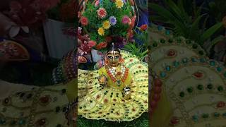 Lalla ne apni pasand ke kapde phane natkatkrishna radheradhe shorts [upl. by True345]