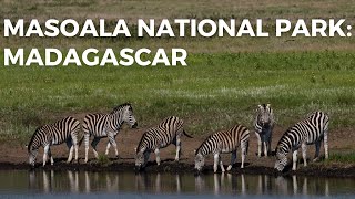 Masoala National Park  Madagascars Natural Treasure 🌿🏝️ [upl. by Annil]