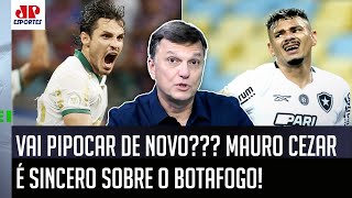 quotNUNCA DUVIDEM da capacidade do Botafogo de DAR UMA PIPOCADA E o Palmeirasquot Mauro Cezar É DIRETO [upl. by Nahgeam46]