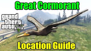 Where amp How to Find Great Cormorants in GTA 5 [upl. by Mintz]