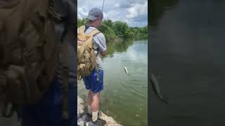 Nice Little Bass from the Summer fishing lunker bassfishing [upl. by Jasik886]