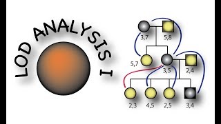 LOD mapping with pedigrees part I [upl. by Najib]