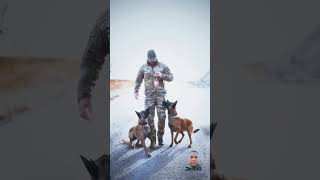 dog k9 military militaryanimals dogs army k9protection malinois [upl. by Meehaf]