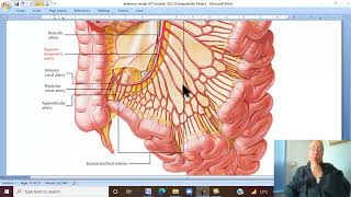 Anatomy GIT Module in Arabic 51  Superior mesenteric artery  by Dr Wahdan [upl. by Tezzil]