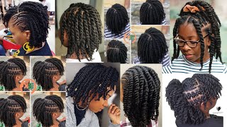 Extremely Stylish amp Gorgeous Twist Braids Hairstyles for Black Women  Elegant Natural Twist Braids [upl. by Annawit]