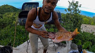 Jamaica Sunrise TV  Snapper Catch N’ Cook [upl. by Ahcarb484]