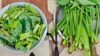 কচুশাক এইভাবে রান্না করলে আঙুল চেটেপুটে ভাত খাবে সবাই  কচুশাক  Bengali Kocho Shak Recipe [upl. by Bernadette940]