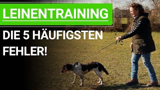 🐶 Vermeide diese 5 häufigsten Fehler beim Hunde Leinentraining ➡️ Praxisvideo 🐶✔️ [upl. by Daht618]