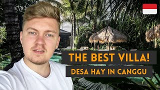 BEST VILLA In CANGGU BALI  Desa Hay [upl. by Naik]