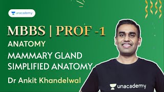 MBBS  Prof 1  mammary gland simplified anatomy  Anatomy  Dr Ankit Khandelwal [upl. by Robert]