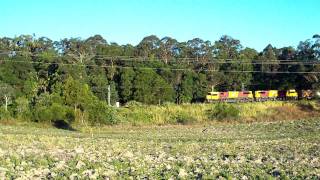 8V33 Biloela Meat Train at Kulangoor on the North Coast Line [upl. by O'Gowan]