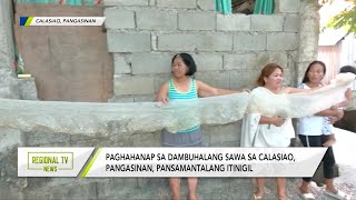 Regional TV News Paghahanap sa dambuhalang sawa pansamantalang itinigil [upl. by Ijic]