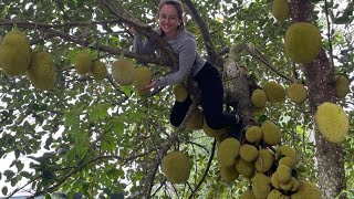 Harvest jackfruit to sell at the market cook jackfruit soup and invite carpenters to build a house [upl. by Rosner223]