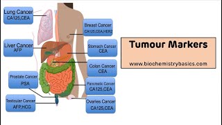 Tumour Markers  Tumour Markers Biochemistry [upl. by Arhas]