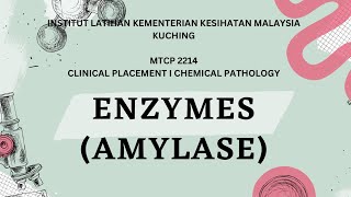 PRESENTATION ENZYMES AMYLASE SEMESTER 5 K22022 [upl. by Varuag]