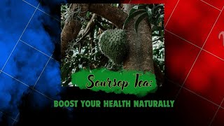 Soursop Tea Boost Your Health Naturally [upl. by Hctud939]