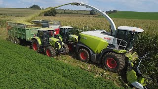 ENSILAGE DE MAÏS 2024 AU GAEC DU COLNET  CLAAS JAGUAR 930DUO CLAAS ARIONFENDT 724NEW HOLLAND T7 [upl. by Keenan]