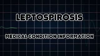 Leptospirosis Medical Condition [upl. by Onateyac]