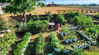 Beautiful Colorful and Bountiful Container Vegetable Garden Tour [upl. by Chesnut]