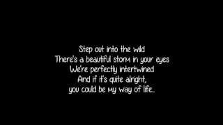 Into the Wild Lewis Watson Lyrics [upl. by Yelda]