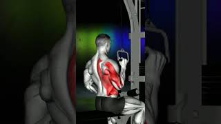 Cable one arm lat pulldown Tutorial Strengthen Your Back Muscles [upl. by Ennirroc601]