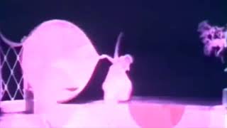 Jaydee  Plastic Dreams 1992 Offical Video [upl. by Akeenat]