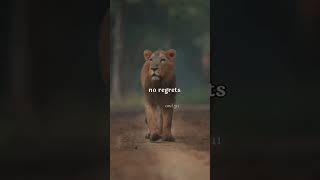 better days are coming be patient no regrets quotes inspiredawesomelife shorts viralvideo [upl. by Meridel]