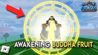 BLOX FRUITS 6  BUDDHA FRUIT AWAKENING  SECOND SEA NA KO  Roblox [upl. by Treat894]