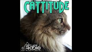 Cattitude  Episode 19  Norwegian Forest Cats and Siberians [upl. by Aenit]