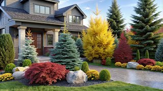 Natures Finest  Coniferous Plant Front Yard Design Ideas to Wow Your Neighbors [upl. by Edvard]