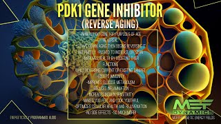 Reverse Aging PDK1 Gene Inhibitor Scientifically Proven [upl. by Norm658]