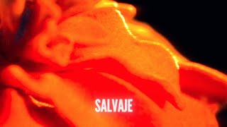 St Vincent  Salvaje Official Lyric Video [upl. by Elyk]