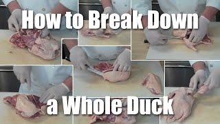 How To Break Down Butcher A Whole Duck [upl. by Raf]