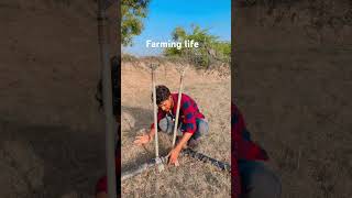 Farming Life sort song [upl. by Kath]