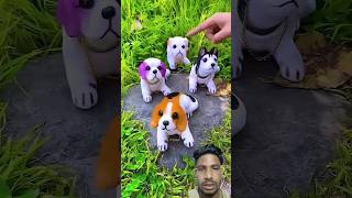 dog dummy dog puppy shorts funny tiktokvideo [upl. by Marijo295]