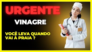 ÁguaViva o Que Fazer Caso Seja Queimado [upl. by Aicertap]